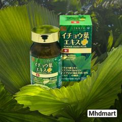 ICHHA EKISU PLUS - Tăng Cường Trí Nhớ & Tuần Hoàn Não với DHA, EPA & Ginkgo Biloba - Bổ Não Chính Hãng Nhật Bản