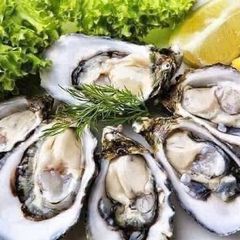 Tinh Chất Hàu Go Healthy Oyster Plus Zinc 120 Viên Chính Hãng New Zealand – Thực Phẩm Bổ Sung Kẽm & Dinh Dưỡng