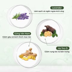 Cặp Dầu Gội Xả Weilaiya Gừng Trắng 400ml - Ngăn Rụng Tóc, Làm Sạch Da Đầu, Kích Thích Mọc Tóc Tự Nhiên