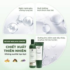 Cặp Dầu Gội Xả Weilaiya Gừng Trắng 400ml - Ngăn Rụng Tóc, Làm Sạch Da Đầu, Kích Thích Mọc Tóc Tự Nhiên
