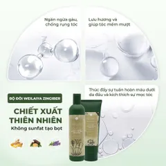 Cặp Dầu Gội Xả Weilaiya Gừng Hà Thủ Ô Dưỡng Đen 400ml - Phục Hồi Hư Tổn, Ngăn Rụng Tóc