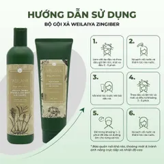 Cặp Dầu Gội Xả Weilaiya Gừng Hà Thủ Ô Dưỡng Đen 400ml - Phục Hồi Hư Tổn, Ngăn Rụng Tóc