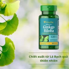 Viên bổ não Ginkgo Biloba Puritan's Pride 120mg 100 viên, tăng tuần hoàn não