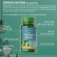 Viên bổ não Ginkgo Biloba Puritan's Pride 120mg 100 viên, tăng tuần hoàn não