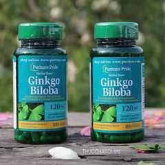Viên bổ não Ginkgo Biloba Puritan's Pride 120mg 100 viên, tăng tuần hoàn não