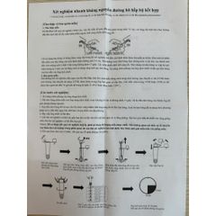 Bộ Kit Test Nhanh 5 Trong 1 GeneSign Covid-19, Cúm A/B, Adeno, Viêm Hô Hấp - Kiểm Tra Kháng Nguyên Dễ Dàng Tại Nhà