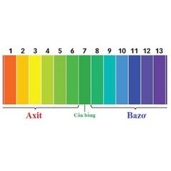 Giấy Quỳ Tím PH 1-14 - Bộ 80 Tờ Đo Độ pH, Kiểm Tra Axit/Bazơ, Hỗ Trợ Sức Khoẻ và An Toàn Cho Mẹ Bầu