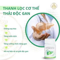 Combo Detox Thải Độc Cơ Thể - Nước Hydrogen Quantum & Detoxmune Giải Rượu Bia, Hỗ Trợ Mát Gan & Thanh Lọc Cơ Thể
