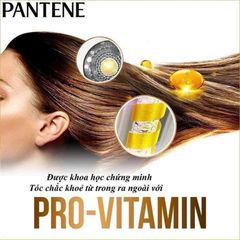 (HÀNG CHÍNH HÃNG MỸ) SET GỘI VÀ XẢ PANTENE THE MULTI TASKER 10 SHAMPOO & CONDITIONER 1.13LIT