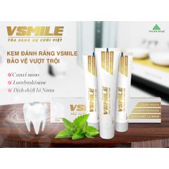 Kem Đánh Răng VSMILE - Đánh Bật Mảng Bám, Ngăn Ngừa Bệnh Nướu, Cho Hơi Thở Thơm Mát - Sản Phẩm Chất Lượng Việt