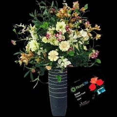 Gói Thuốc Dưỡng Hoa LORALIFE Mỹ - Giúp Hoa Tươi Lâu Hơn, Không Hôi Nước, An Toàn Cho Sức Khỏe, Giữ Màu Sắc Tươi Mới