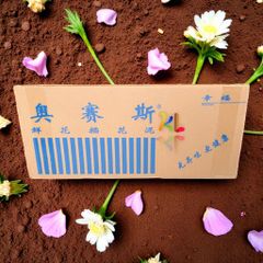 Viên xốp cắm hoa tươi Oasis loại 1 - Phụ kiện trang trí floral cho hoa tươi, hoa sáp, kích thước 23x11x7.5cm