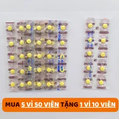Say Xe Thái Lan 1000 Viên - Thực Phẩm Chức Năng Hỗ Trợ Giảm Say Tàu Xe, Chống Buồn Nôn, Dễ Dàng Sử Dụng