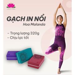 Gạch Tập Yoga NDA Cao Cấp 320gr - Hỗ Trợ Tư Thế Yoga, Dụng Cụ Thể Dục Thiết Yếu Cho Người Yêu Thích Yoga