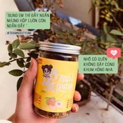 Ô Mai Mơ Gừng Yumi – Snack Xí Muội Chua Mặn Ngọt Thơm Ngon, Dưỡng Họng, Hàng Tiêu Dùng Việt Nam