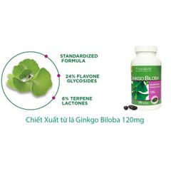 Viên Bổ Não Ginkgo Biloba Nature's Truth 120mg - Tăng Cường Trí Nhớ & Cải Thiện Chức Năng Não, 340 Viên Chính Hãng USA