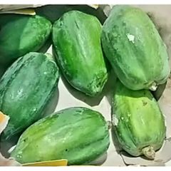 Đu Đủ Xanh Tươi Nhà Trồng 1kg - Thực Phẩm Tự Nhiên Hỗ Trợ Tiêu Hóa và Tăng Cường Miễn Dịch