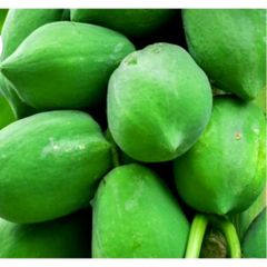 Đu Đủ Xanh Tươi Nhà Trồng 1kg - Thực Phẩm Tự Nhiên Hỗ Trợ Tiêu Hóa và Tăng Cường Miễn Dịch
