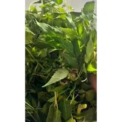 Lá Sầu Đâu Tươi 1kg - Hỗ Trợ Điều Trị Da Liễu, Cải Thiện Tiêu Hóa, Làm Đẹp Da, Kháng Khuẩn, Chống Viêm