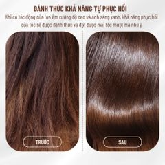 Máy Sấy Tóc TEKYOMI STL-8878Pro 2000W - Công Nghệ BlueLight & Ion Âm, 6 Chế Độ, Chuẩn Salon Tại Nhà, Sấy Nhanh, Bảo Vệ Tóc