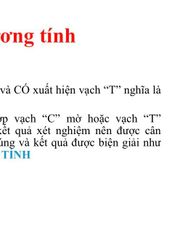 Bộ Test Nhanh COVID-19 OnSite CTK Biotech - Xét Nghiệm Kháng Nguyên SARS-CoV-2 FDA, CE, Kết Quả Trong 15 Phút
