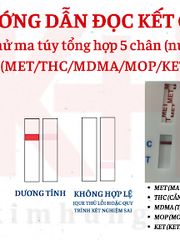 Hộp 25 Que Test Nhanh Ma Túy Tổng Hợp FaStep USA - Phát Hiện Meth, THC, Ecstasy, Morphine Tại Nhà Trong 5 Phút