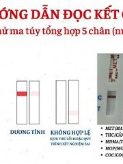 Hộp 25 Que Test Nhanh Ma Túy Tổng Hợp 6 Chân FaStep USA - Phát Hiện Hero.in, MDMA, THC, Ketamine An Toàn và Hiệu Quả
