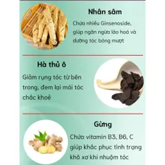 Dầu Gội Phủ Bạc Plant Extract - Nuôi Dưỡng Tóc Tự Nhiên, Màu Sắc Bền Đẹp, 300ml, Không Chứa Hóa Chất Độc Hại