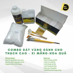 Combo Dát Vàng Gốc Nước 2500 Lá B Giòn Hacowa - Bộ Sản Phẩm Trang Trí Hoa Quả Dừa Tết, Nghệ Thuật Thủ Công Độc Đáo