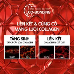 Kem dưỡng hỗ trợ săn chắc da Vichy LiftActiv Collagen Specialist