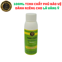 Tinh Chất Phủ Bảo Vệ Lá Vàng Ý 100ml - Chống Xỉn Vàng và Oxy Hóa, Sản Phẩm Chuyên Dụng cho Nghệ Thuật và Thủ Công mỹ nghệ