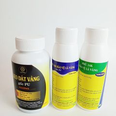 Combo Keo Phủ Gốc PU 200ml & 170ml - Dát Vàng Gỗ, Kim Loại, Nhựa, Đá, Thủy Tinh, Gốm Sứ - Sản Phẩm Làm Đẹp Đồ Nội Thất