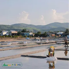 Muối Rong Biển 300g Sahu - Gia Vị Tự Nhiên Không Hóa Chất, Hương Vị Đậm Đà cho Món Ăn Thêm Ngon