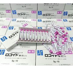 Kem Bôi Vết Côn Trùng Cắn Rokoito Locoid Ointment 0.1% - Giải Pháp An Toàn Cho Bé 5g Nhật Bản