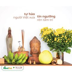 Nhang Quế Thông Noom - Nhang Tự Nhiên Không Hóa Chất Giúp Thư Giãn và Thanh Lọc Không Khí - 50g, 300g