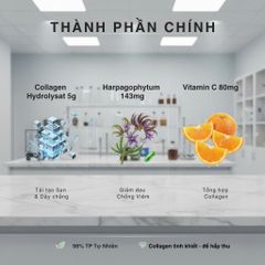 Collagen Flex Bột Bổ Xương Khớp Biocyte - Thực Phẩm Bổ Sung Đặc Biệt Cho Sức Khỏe Khớp Và Hệ Vận Động, Giàu Dưỡng Chất, 8g/Ngày