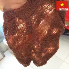 Bình Lịch Mặt Nạ Hút Cùi Mụn - Giảm Thâm, Sẹo Tự Nhiên 100g - Sản Phẩm Làm Đẹp Da Chất Lượng Cao