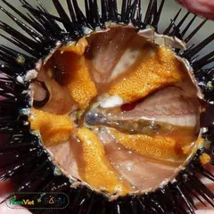 Mắm Nhum Tiến Vua Sahu - Đặc Sản Sa Huỳnh Đậm Đà, Ngọt Béo Tự Nhiên, Hương Vị Biển Thơm Ngon 200g