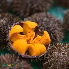 Mắm Nhum Tiến Vua Sahu - Đặc Sản Sa Huỳnh Đậm Đà, Ngọt Béo Tự Nhiên, Hương Vị Biển Thơm Ngon 200g