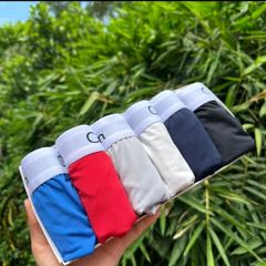 Quần Sịp Tam Giác Nam CK - Thun Lạnh Co Giãn 4 Chiều, Đa Dạng Màu Sắc, Thoải Mái và Quyến Rũ cho Phong Cách Nam giới