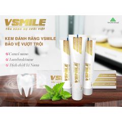Kem Đánh Răng VSMILE - Giữ Sạch Răng Miệng, Ngăn Ngừa Đột Quỵ, Hơi Thở Thơm Mát, Đánh Bật Mảng Bám, Chăm Sóc Răng Miệng Tốt Nhất
