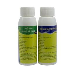 Bộ Combo 500 Lá Vàng MGJ Cao Cấp - Phụ Kiện Dát Vàng Đầy Đủ Cho Mọi Chất Liệu, Kèm Keo và Chổi Vẽ Ứng Dụng