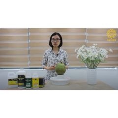 Bộ Combo Dát Vàng Hoa Quả 3000 Lá A Nhật 9cm - Keo và Phủ Bảo Vệ, Dụng Cụ Nghệ Thuật Trang Trí Tết