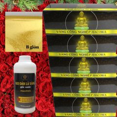 Combo Dát Vàng HACOWA - 5 Hộp Vàng Đài (12500 Lá) + 1kg Keo Gốc Nước Dùng Trang Trí Hoa Quả, Thạch Cao, Xi Măng, Giấy