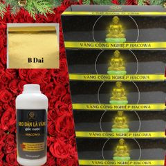Combo Dát Vàng HACOWA - 5 Hộp Vàng Đài (12500 Lá) + 1kg Keo Gốc Nước Dùng Trang Trí Hoa Quả, Thạch Cao, Xi Măng, Giấy
