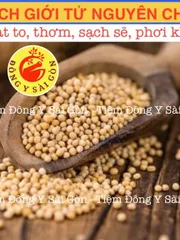 Hạt Bạch Giới Tử 100g - Hỗ Trợ Hô Hấp, Giảm Khó Thở, Thảo Dược Tự Nhiên Từ Rau Cải Canh, Tiệm Đông Y Sài Gòn