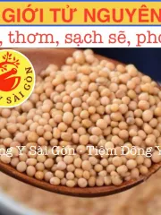 Hạt Bạch Giới Tử 100g - Hỗ Trợ Hô Hấp, Giảm Khó Thở, Thảo Dược Tự Nhiên Từ Rau Cải Canh, Tiệm Đông Y Sài Gòn