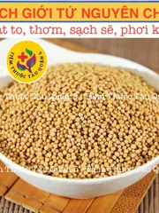 Bạch Giới Tử 100g - Hạt Cải Trắng Hỗ Trợ Giảm Khó Thở, Đờm Nhiều - Thảo Dược Đông Y Chất Lượng Cao