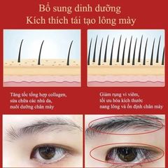 Serum Mọc Chân Mày 7 Ngày Hiệu Quả - Dưỡng Mi Dài Cong, Nuôi Dưỡng Sâu, Cải Thiện Độ Dày An Toàn Cho Mọi Loại Da
