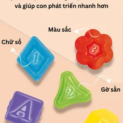 Hộp Thả Bóng Cầu Vồng Montessori Seseele - Đồ Chơi Giáo Dục Phát Triển Kỹ Năng Nhận Thức Cho Bé, Bóng Sillicon An Toàn
